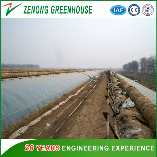 エンジニアリングバック